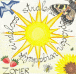 mandala zon